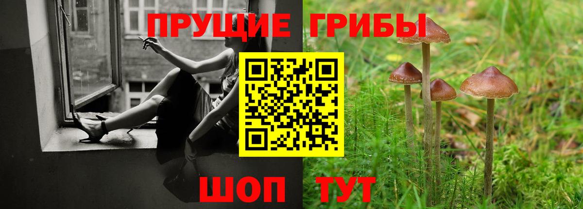 Галлюциногенные грибы мицелий  Вход с VPN  Обнинск 